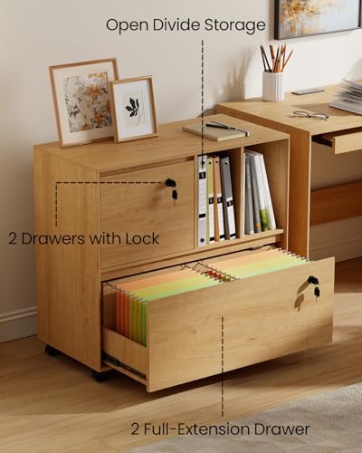 Lemari Arsip Bergerak 2 Laci d - File Cabinet Lateral ulasan dan harga